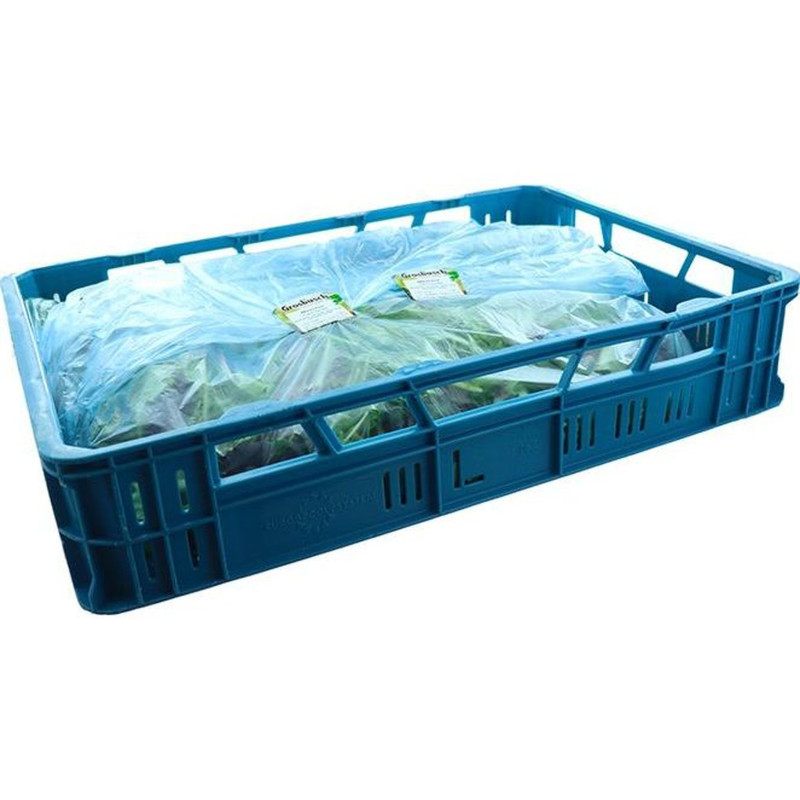 MESCLUN GROSBUSCH 1KG